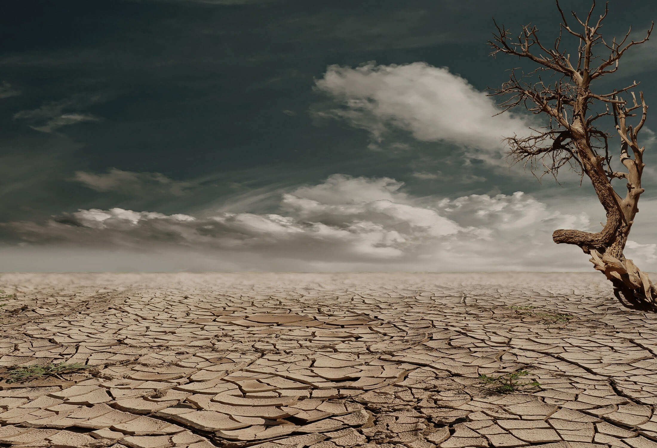 desertizacion planeta
